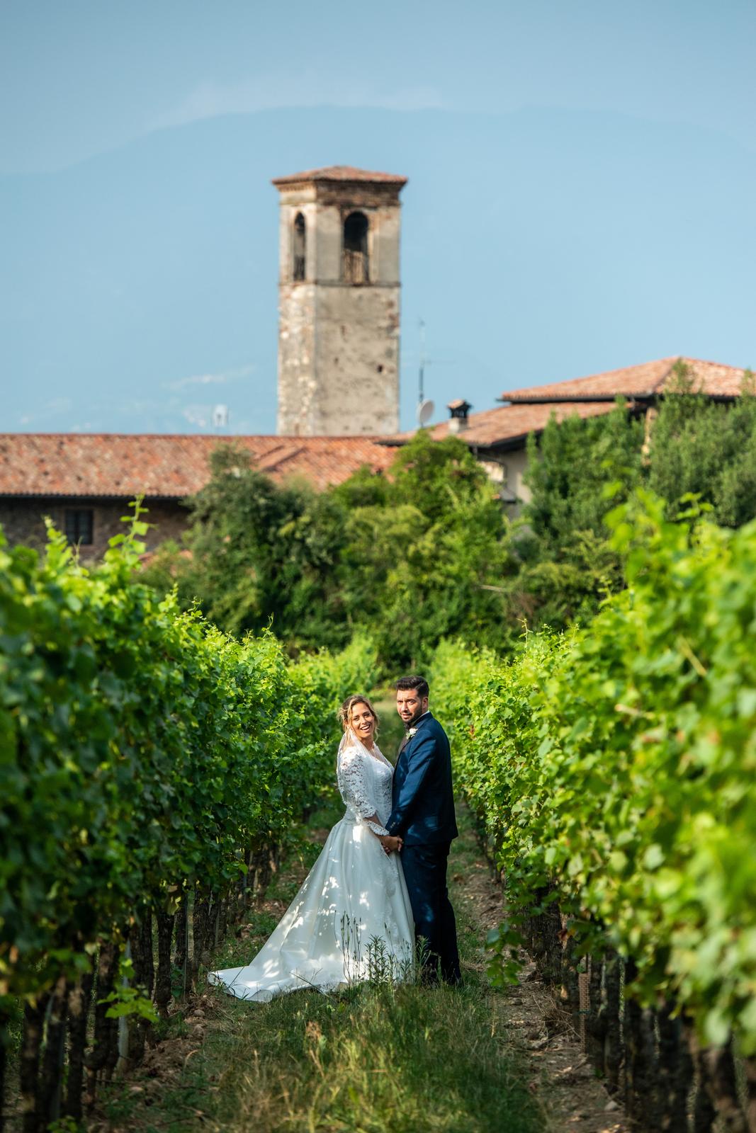 Filari vigneti e campanile storico Bellavista Franciacorta