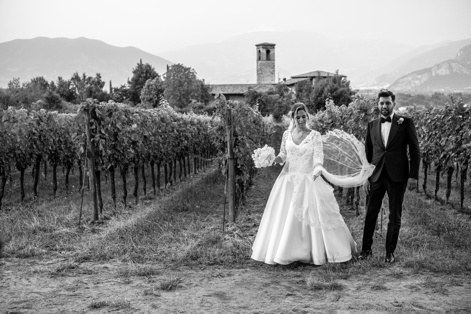 Bianco e nero sposi camminano vigneti Bellavista